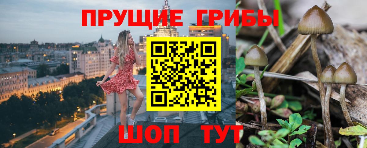 Галлюциногенные грибы MAGIC MUSHROOMS Полысаево