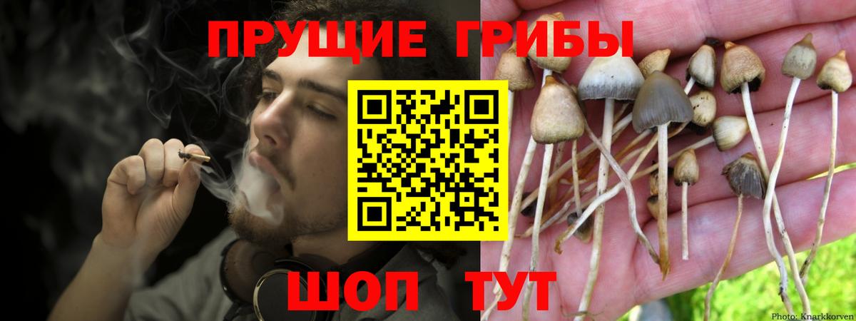 Полысаево  купить   Вход с VPN  Галлюциногенные грибы Magic Shrooms 